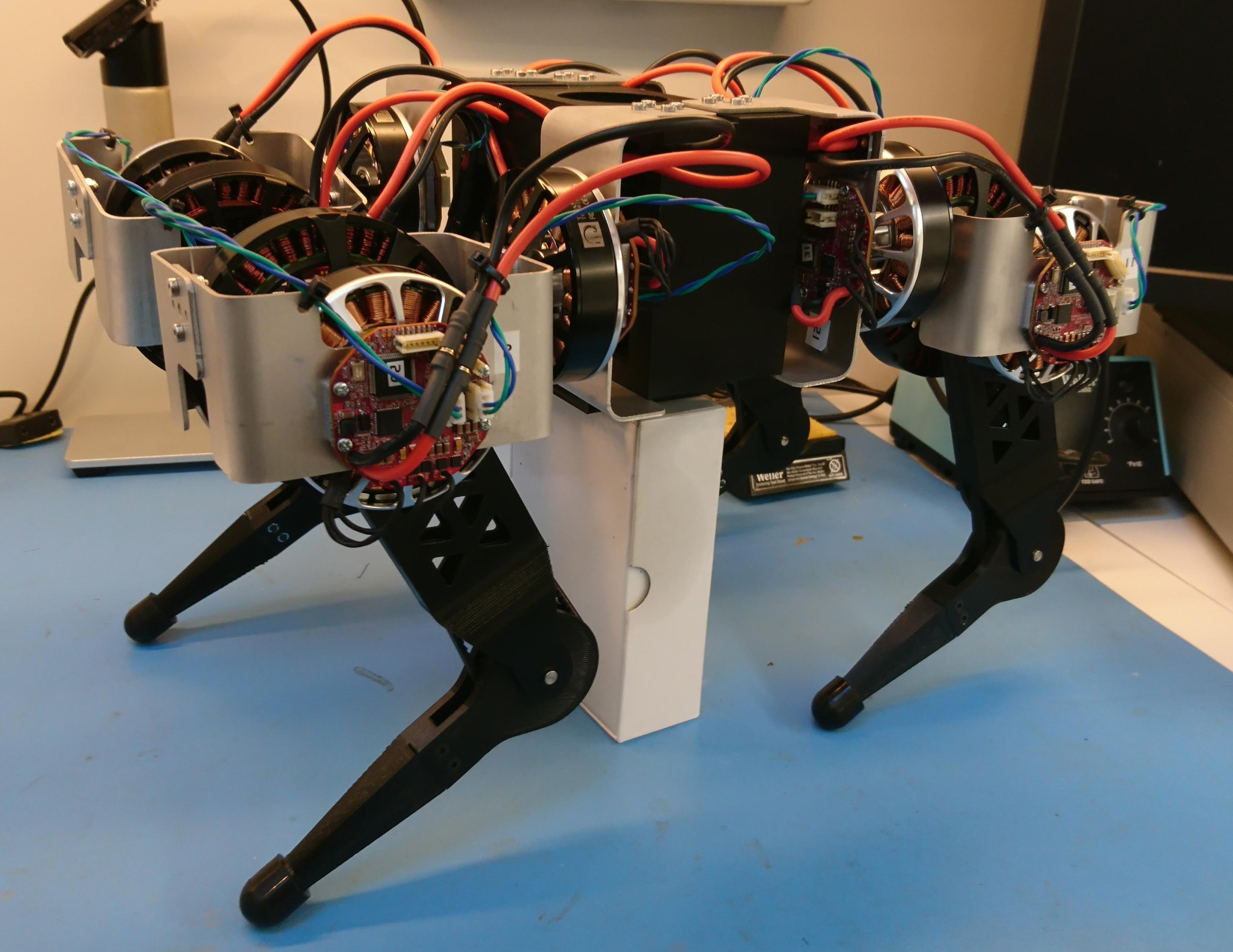 Quadruped left side